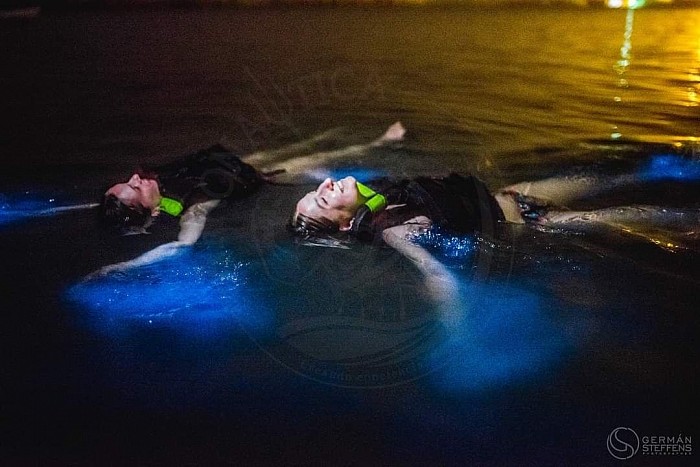 Tours plancton luminoso